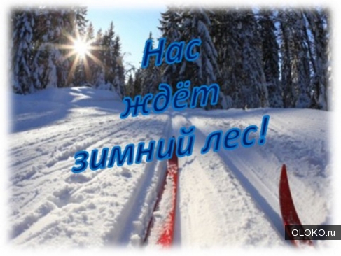 Лыжные экскурсии по Кумысной поляне. 