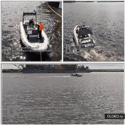 Выполнение ремонта моторно-гребных, моторных лодок и лодок РИБ. 